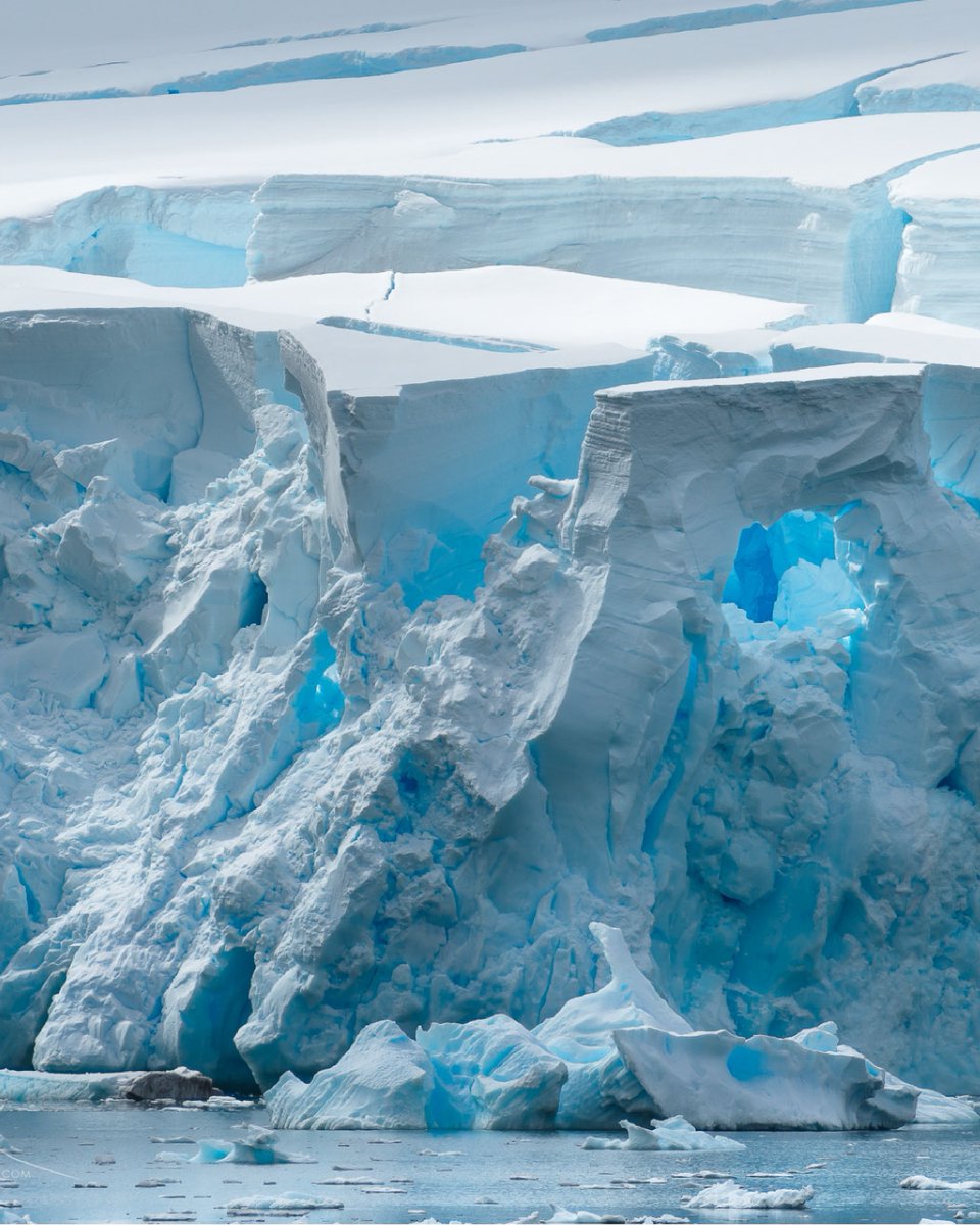 Lightroom's tweet photo. Have an ice day 🥶 by @muenchworkshops https://t.co/P7ORxeWWAF