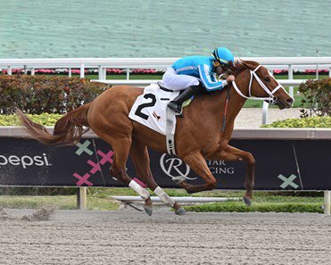 morninglineio's tweet photo. Meet Mage, the magnificent horse captivating the racing world! With incredible speed, agility, and a heart of a champion, Mage is rewriting the record books. #MageTheHorse #Racehorse #EquineStar #SpeedAndGrace #RecordBreaker https://t.co/9Du3myV7it