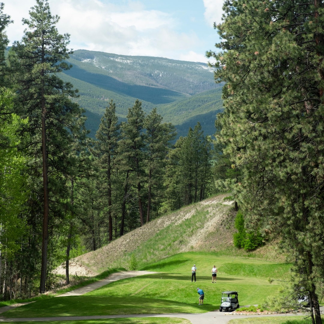 The only thing better than golfing, is golfing with a view!🤩

#kimberleybc #agoodplacetotee #kootrocks #golfing #golferlife #golf #golfcanada #mountains #golfcourse #kootenays