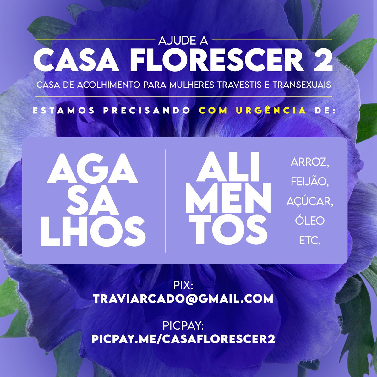 alinadurso's tweet photo. Deixe seu RT e bora fazer com que esse tweet atinja o máximo de pessoas que der ♥️

Chave pix: traviarcado@gmail.com

Endereço da Casa Florescer 2 para entregar os itens abaixo para quem residir em SP

Rua Dr Zuquim, 1034 - Santana - SP. https://t.co/7A10TMs3rD