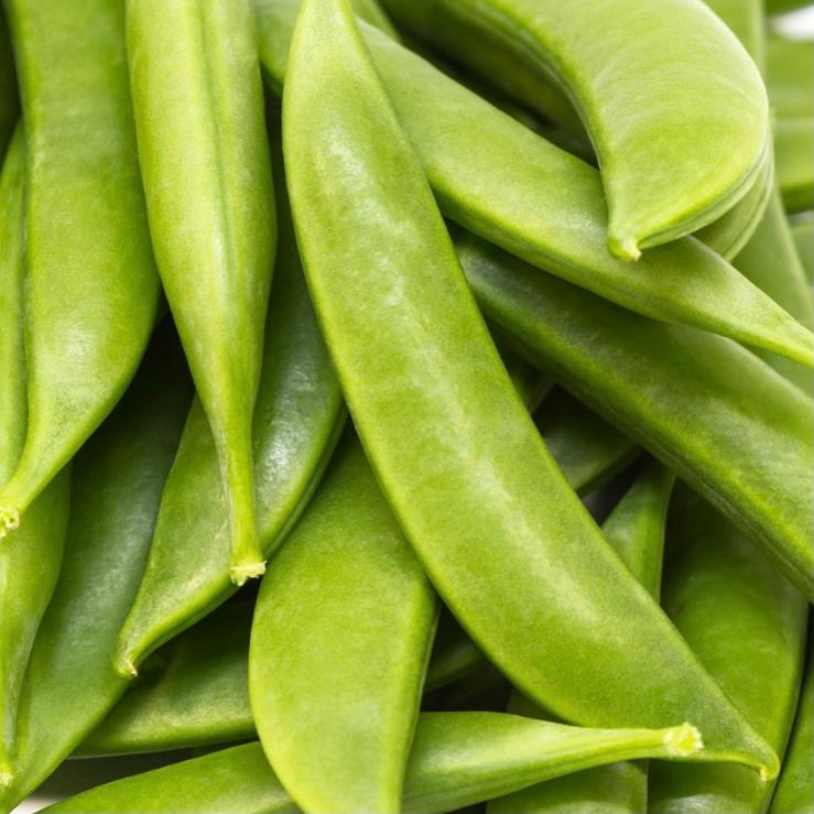 All snaps for midweek UK sugar snaps!

#Rushtons #thechefsgreengrocer #wholesale #catering #hospitality #restaurant #chef #londonsupplier #seasonalproduce #NCGM #Britishproduce #sugarsnaps