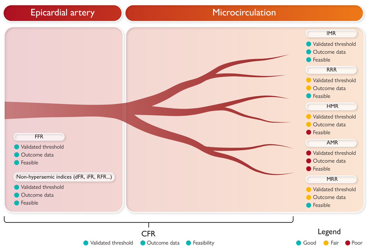 Microvascular resistance reserve: a reference test of the coronary microcirculation? academic.oup.com/eurheartj/adva… #physiology #microcirculation #MRR #cardiotwitter @escardio @ESC_Journals