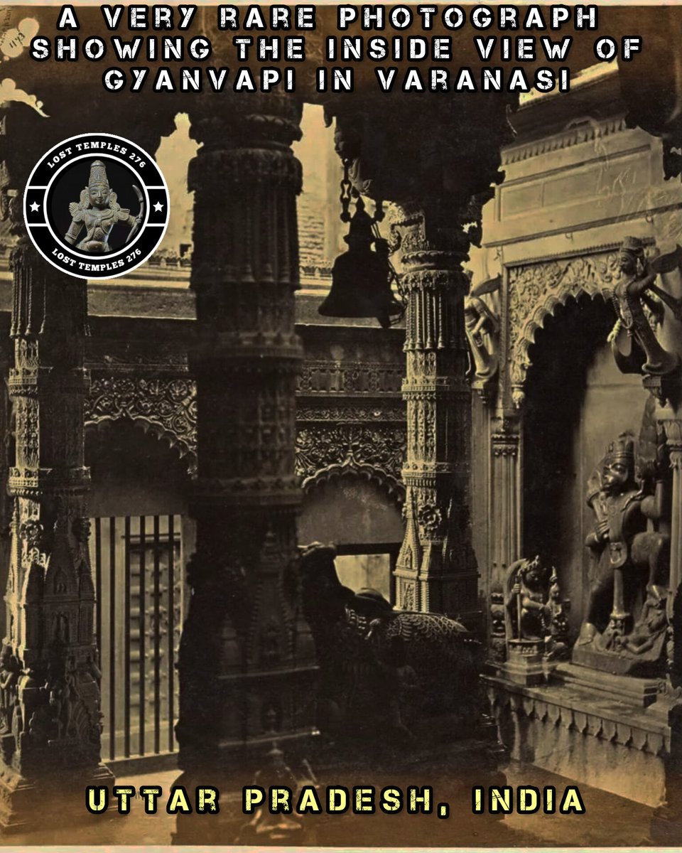 Lost Temples™ tweet media