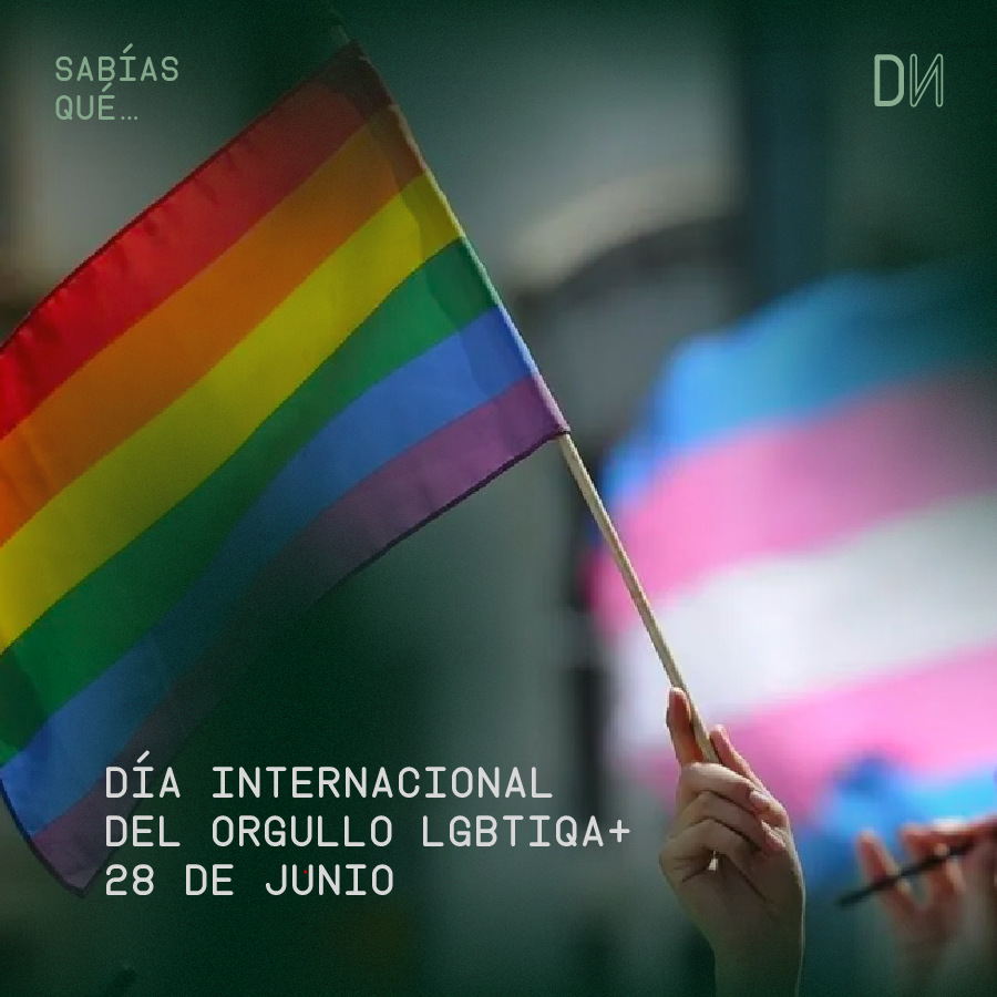 🌈 En el Día Internacional del Orgullo LGBTIQA+, conmemoramos la valentía y la resistencia de aquellas personas que lucharon y siguen luchando por la igualdad y el respeto. 

#SomosDisidentas