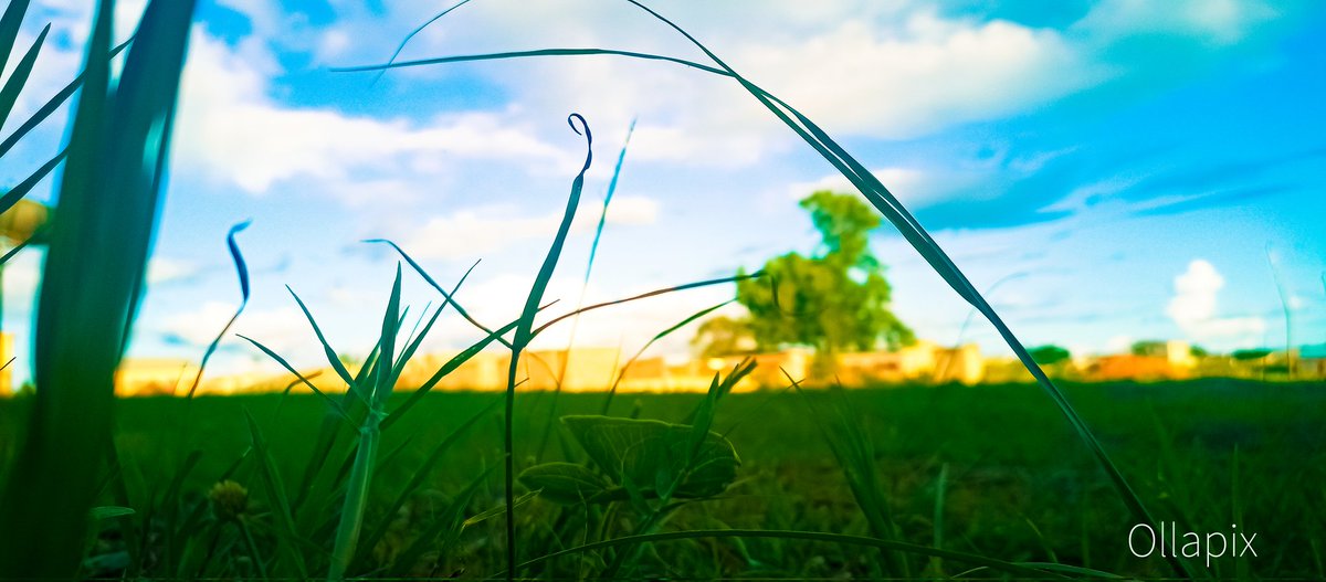Tchiche3's tweet photo. Un paysage nuageux avec des herbes ondoyantes et un coucher de soleil paradisiaque en toile de fond. La sérénité qui se dégage de cet instant est tout simplement magique. Laissez-vous emporter par la beauté de la nature et laissez vos soucis s'évanouir. @StormHour https://t.co/PDkMRGx937