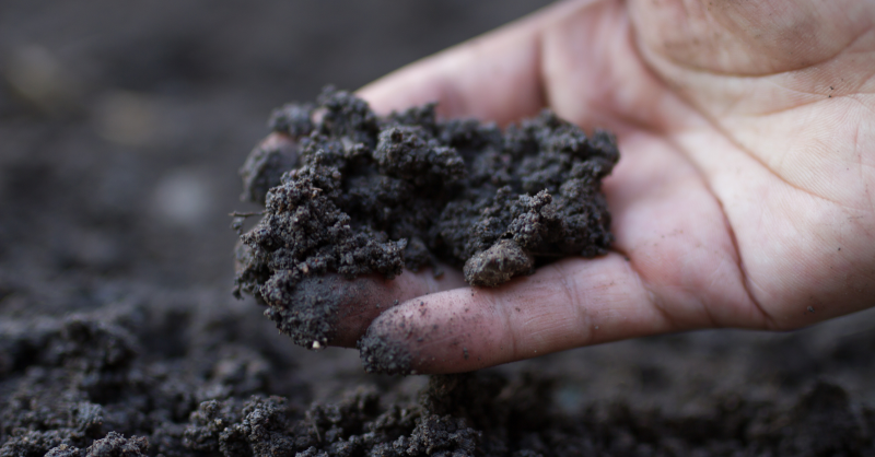 OntAg's tweet photo. Exciting updates from the @CFFOnt June Provincial Council meeting!
@SenatorRobBlack addressed #farmers on the Senate's role in Canadian politics & his significant #SoilHealth study.
See the study's focus areas & its impact on future #agricultural practices ⬇️
#OntAg