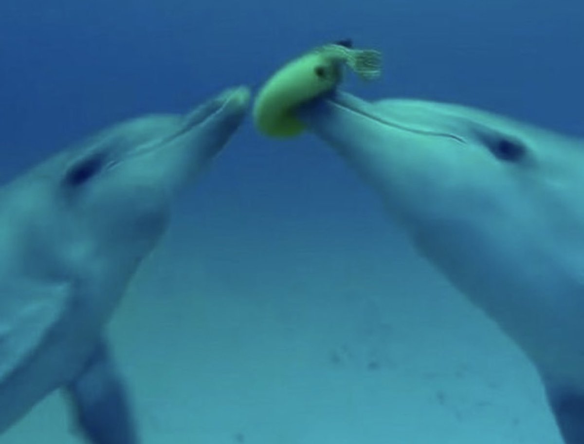 kirawontmiss's tweet image. this shit is so evil😭