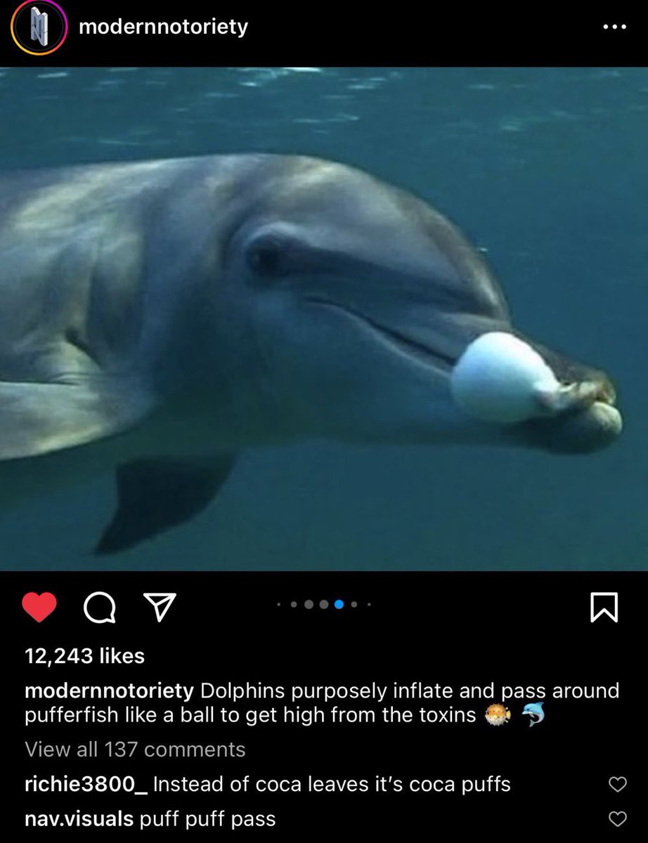 kirawontmiss's tweet image. this shit is so evil😭