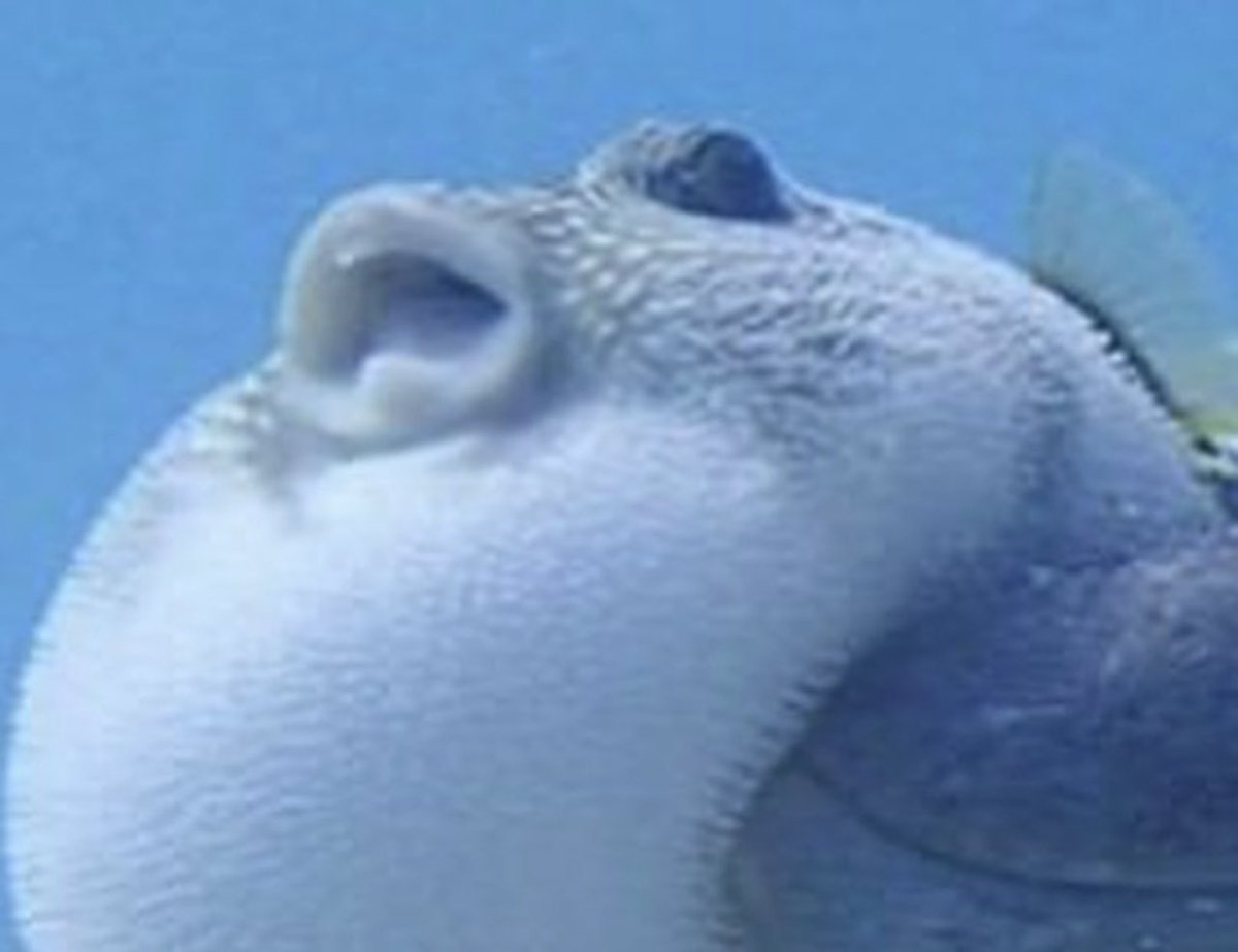 kirawontmiss's tweet image. this shit is so evil😭