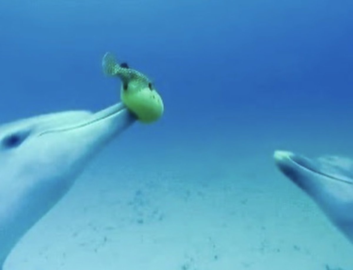 kirawontmiss's tweet image. this shit is so evil😭