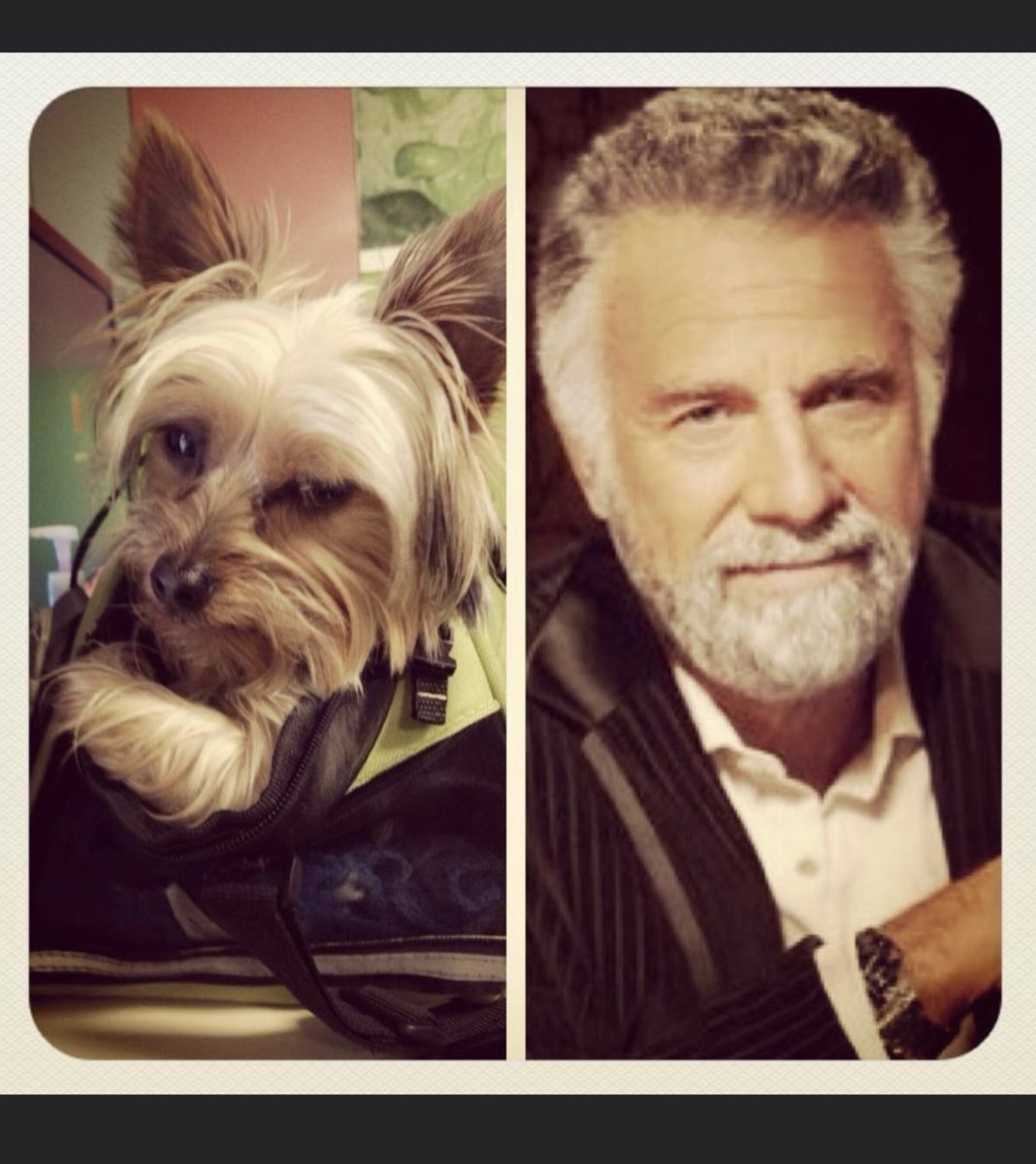 Sandra the Hag 𐕣 tweet media