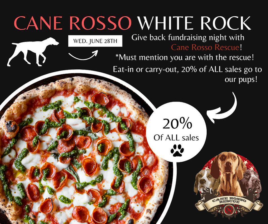 canerosso's tweet photo. Eat pizza, save dogs. Capisce?? #eastdallas https://t.co/0t8iPVLurV