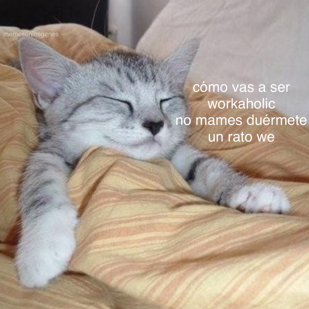 memesenlosgenes's tweet photo. https://t.co/5YQ8oo47vr