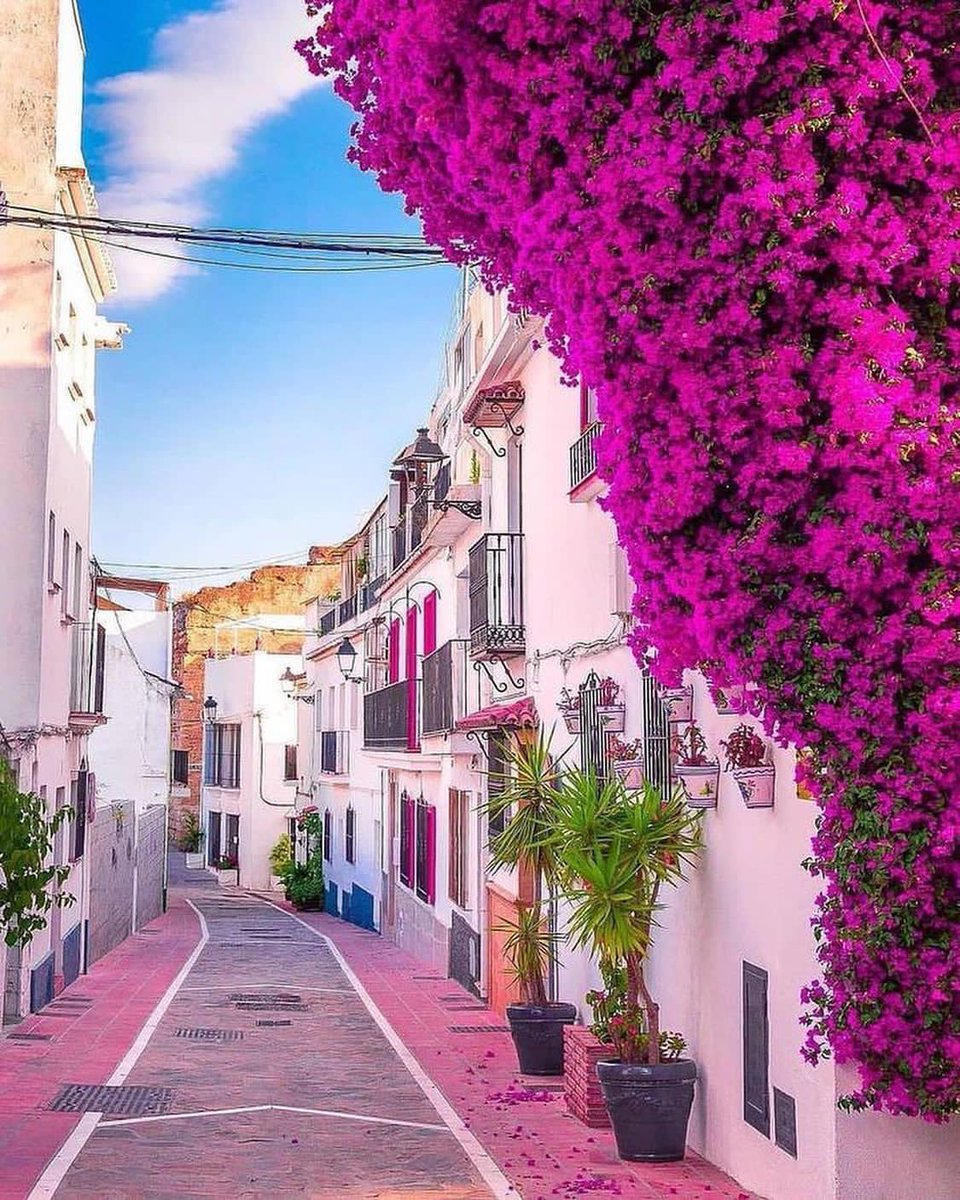 Andalucia Spain 📸