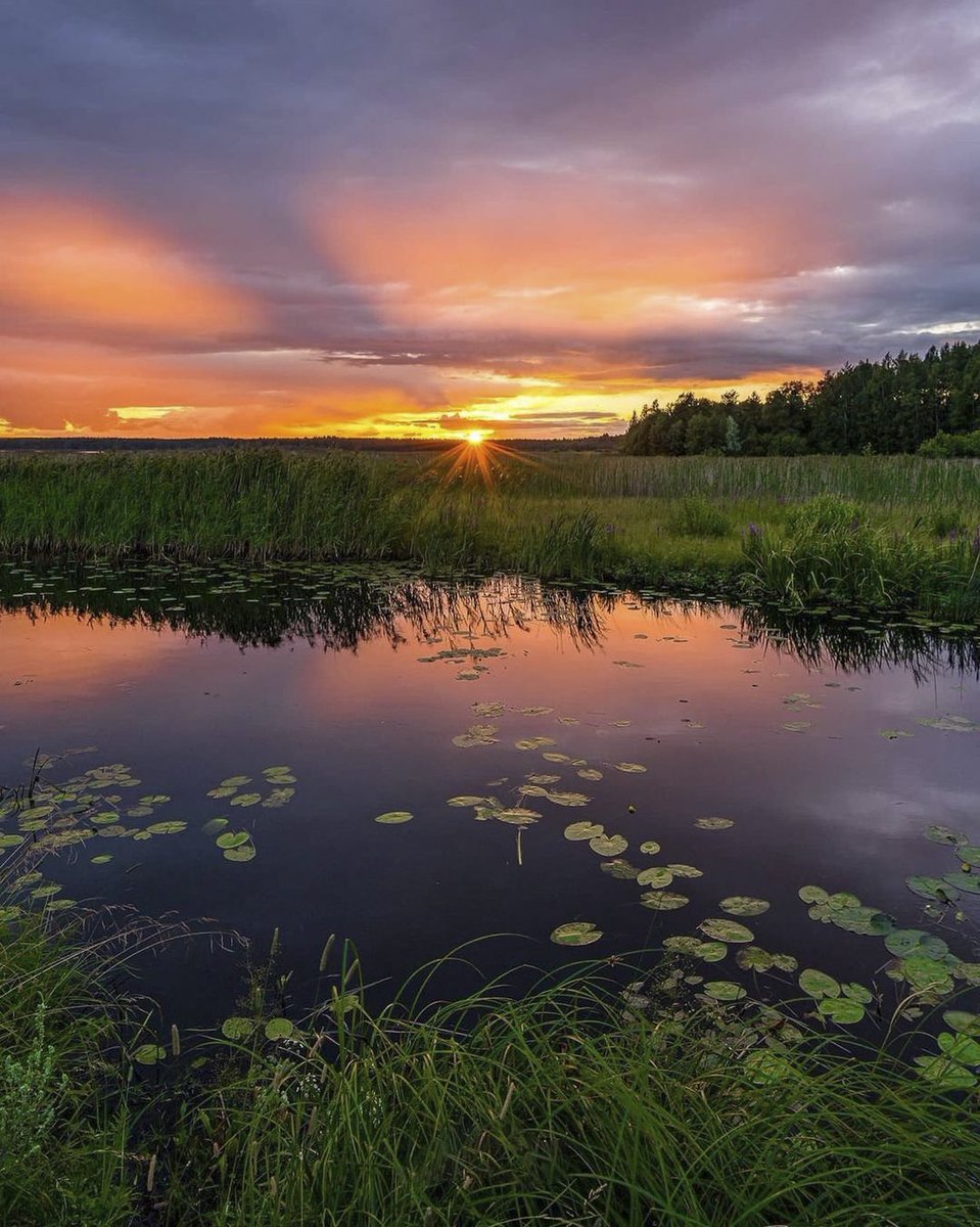 Good Evening 🌅🌾