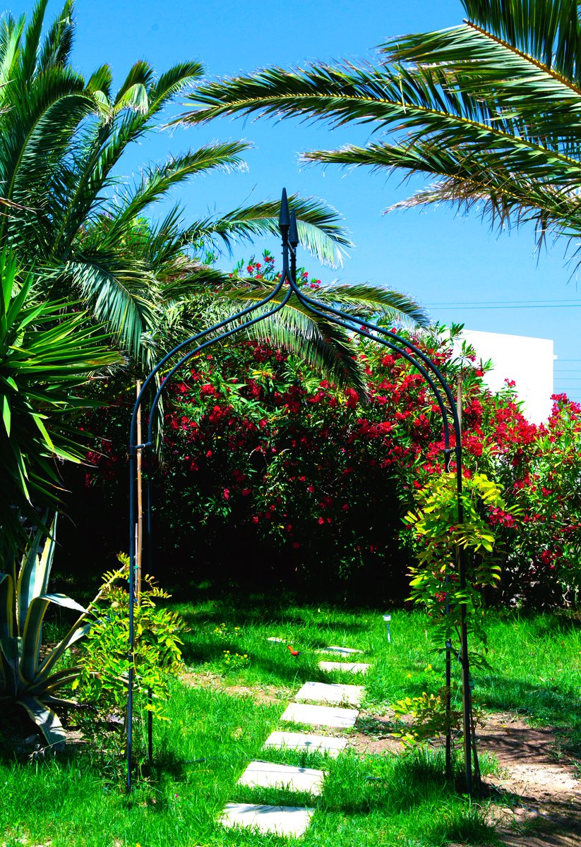 AncientMeropia's tweet image. ΑΡΧΑΙΑ ΜΕΡΟΠΙΑ, ΑΣΤΡΟΓΩΝΙΟ-ΣΙΦΝΟΣ ΑΜΑ 00001142223
@AncientMeropia
ΑΠΟΛΛΩΝΙΑ ΣΙΦΝΟΣ Βραχυχρόνια μίσθωση ΤΗΛ: 6972429024, 2284031037, 6973037921, e-mail: m_deligiannidou@yahoo.gr,
ΑΠΟΛΛΩΝΙΑ ΣΙΦΝΟΥ- ΘΕΣΗ ΑΡΑΔΕΣ