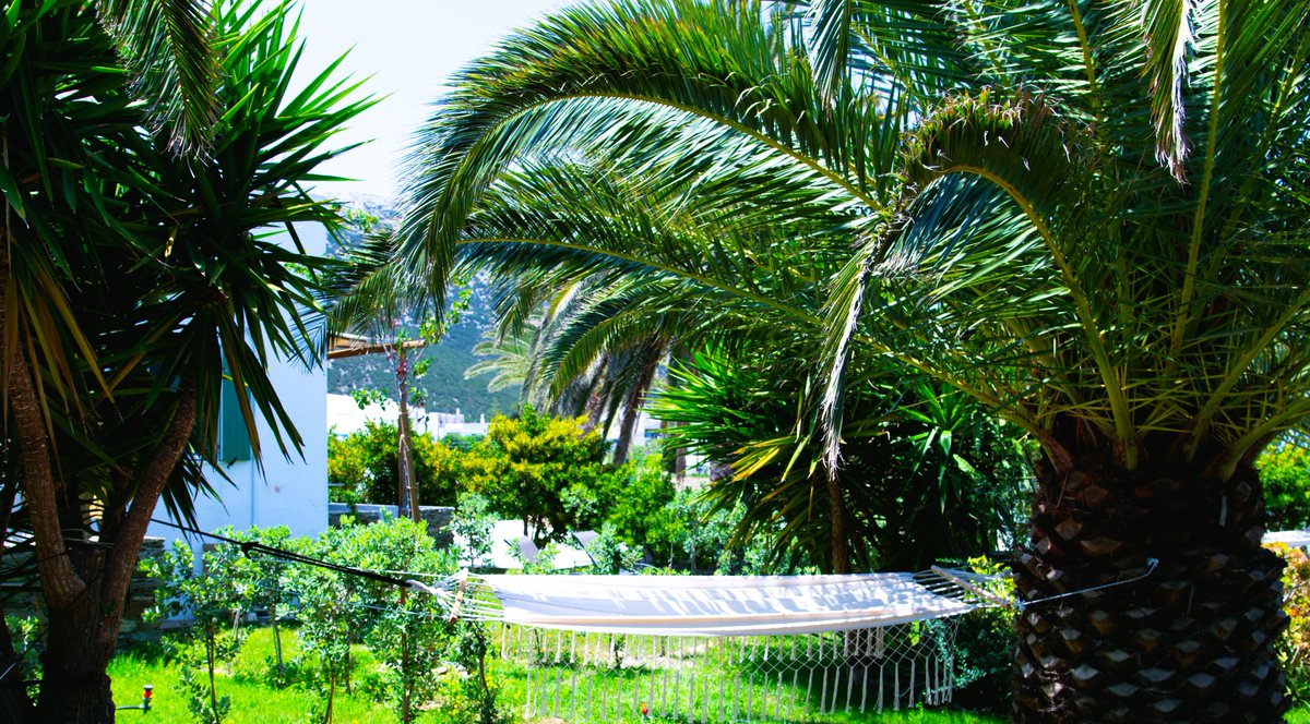 AncientMeropia's tweet image. ΑΡΧΑΙΑ ΜΕΡΟΠΙΑ, ΑΣΤΡΟΓΩΝΙΟ-ΣΙΦΝΟΣ ΑΜΑ 00001142223
@AncientMeropia
ΑΠΟΛΛΩΝΙΑ ΣΙΦΝΟΣ Βραχυχρόνια μίσθωση ΤΗΛ: 6972429024, 2284031037, 6973037921, e-mail: m_deligiannidou@yahoo.gr,
ΑΠΟΛΛΩΝΙΑ ΣΙΦΝΟΥ- ΘΕΣΗ ΑΡΑΔΕΣ