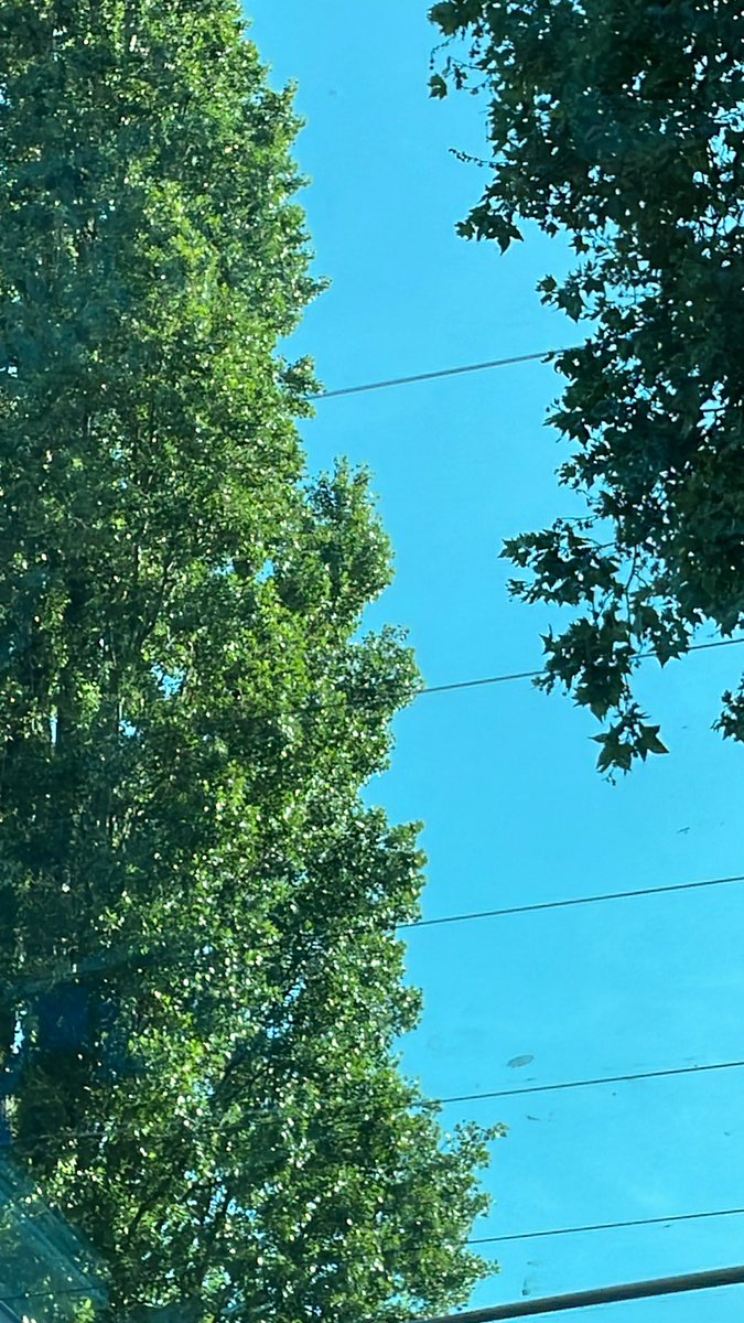 cyrine's tweet image. Petit tour en bateau pour les congressistes #AEI2023 @AcEntInnov 🛥️ pendant lequel j’apprends, notamment, que le quartier médiéval Petite France @strasbourg doit son appellation à la syphilis 😜