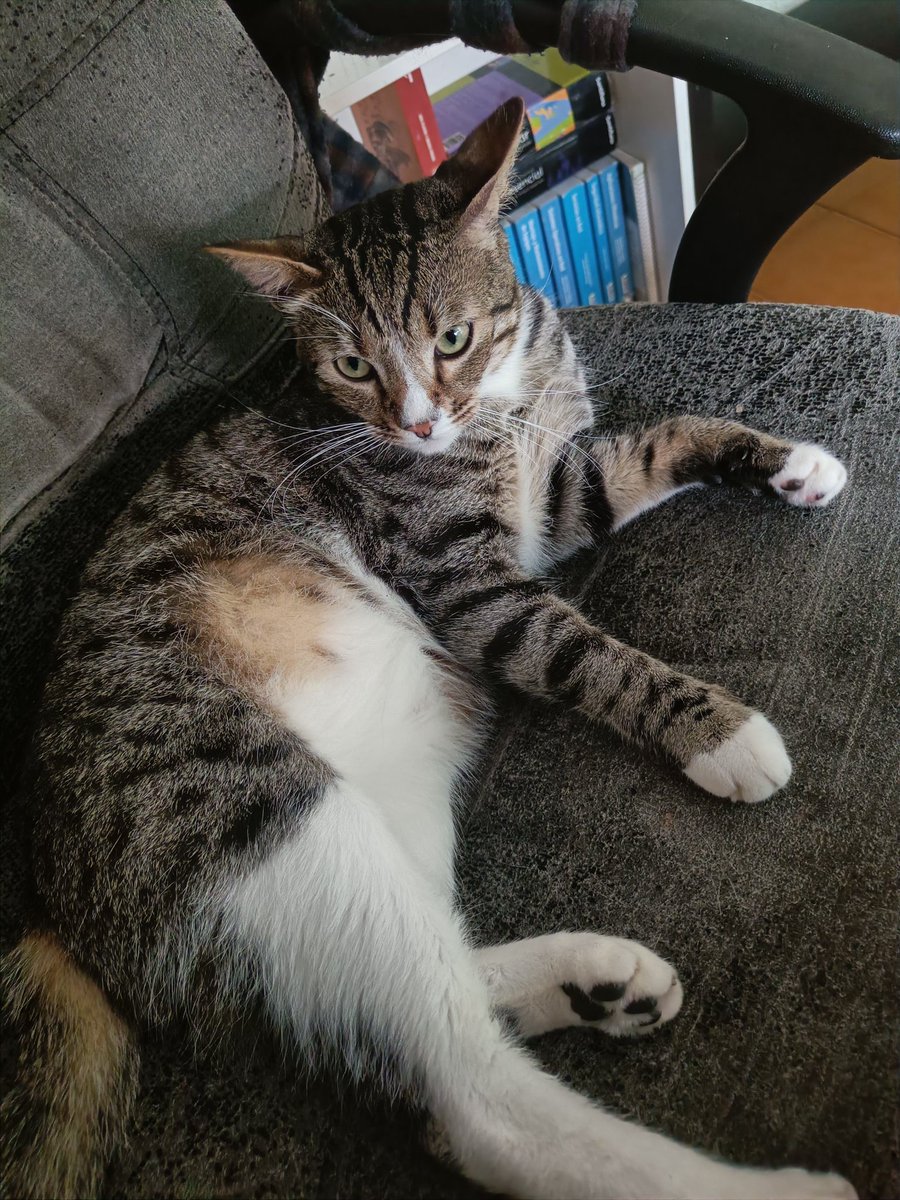 LocuraSinCura tweet media