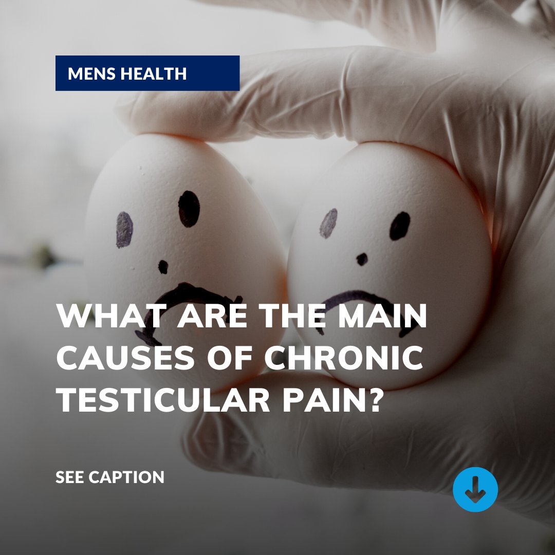 Below are causes of chronic testicular pain ⬇️ 
➡️ Trauma or injury, Infection of the testicle, epididymis, or scrotum
➡️ Torsion
➡️ Tumor
➡️ Varicoceles
➡️ Spermatoceles
➡️ Hydroceles
➡️ Cysts
#testicularpain #menshealth