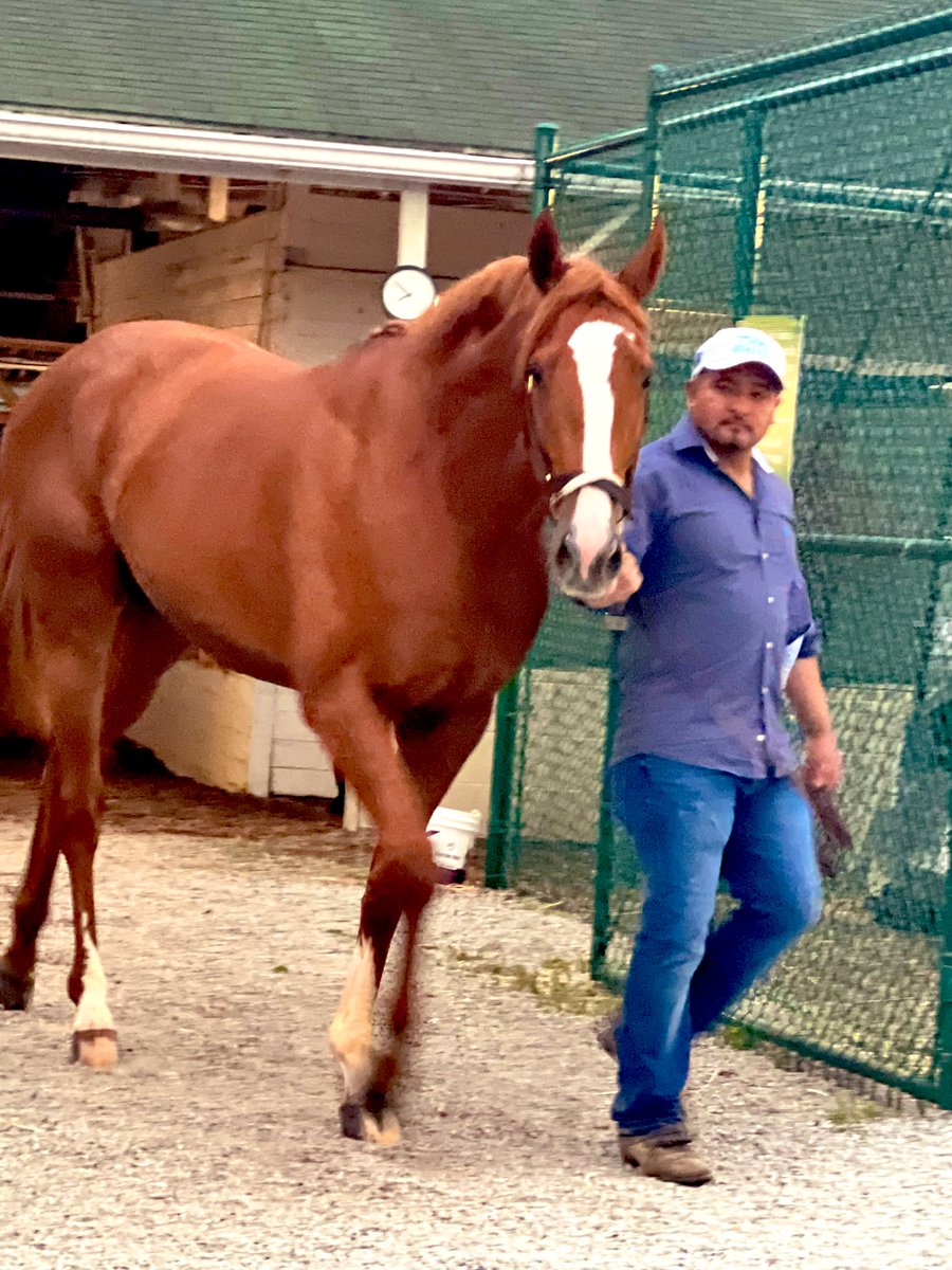 hatrat's tweet photo. Sad to hear Two Phil’s is retiring, but happy to know the owners are doing the right thing for him. I loved stopping to see him daily at @ChurchillDowns ahead of the #KYDerby149 #TwoPhils #HorseRacing https://t.co/ycqKfah9LB