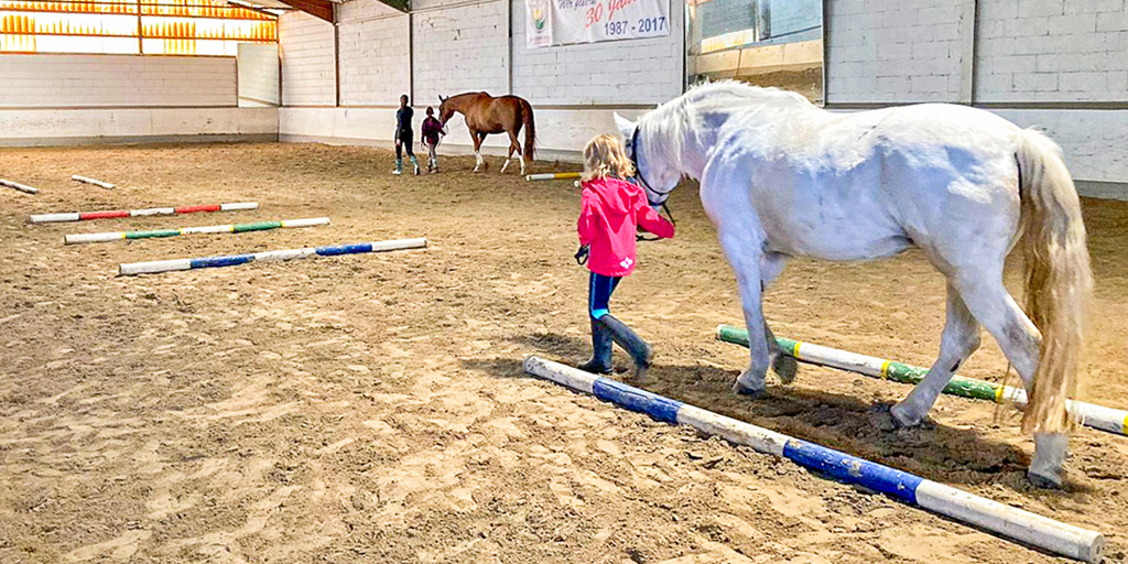 rsgeddersheim's tweet photo. Beliebte Ferien im Stall: zusätzlicher Termin (31.7. bis 4.8.23), Anmeldung für Kinder ab einem Alter von 7 Jahren ab sofort möglich. https://t.co/q9hqkjYds4  #Reitschule #MTK #RheinMain #Reiten #Reitferien #Kinderreiten https://t.co/AM9Dsl551B