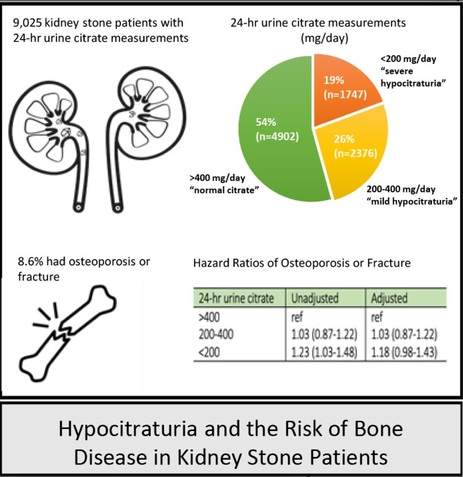 JBMRPlus's tweet photo. Results from a new #JBMR study, in a predominantly male cohort, suggest a modest association between hypocitraturia and osteoporosis or fracture @CalyaniGanesan @MontezRath @gchertow @kingpaoman 

https://t.co/idlT6TGL1s https://t.co/e3LmlwGQlr