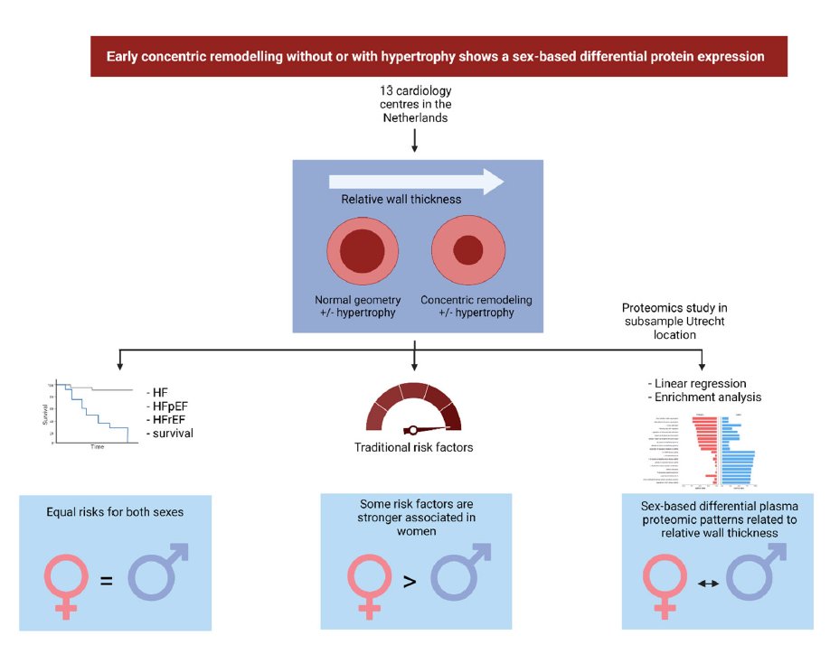 Circ: Heart Failure (@circhf) on Twitter photo Just Published in #CircHF from <a href="/InnovatieHester/">Hester den Ruijter</a> et al: Plasma proteomics reveals a strong inflammatory pathway activation in women with concentric remodeling
📖Read more: ahajournals.org/doi/10.1161/CI… #AHAJournals
@nconland @DiezBenavente <a href="/DrNancySweitzer/">Nancy Sweitzer MDPhD</a> Just Published in #CircHF from <a href="/InnovatieHester/">Hester den Ruijter</a> et al: Plasma proteomics reveals a strong inflammatory pathway activation in women with concentric remodeling
📖Read more: ahajournals.org/doi/10.1161/CI… #AHAJournals
@nconland @DiezBenavente <a href="/DrNancySweitzer/">Nancy Sweitzer MDPhD</a>