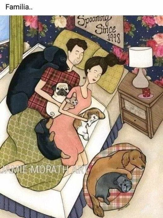 ihtiyarAbi (@ihtiyarabi) on Twitter photo 