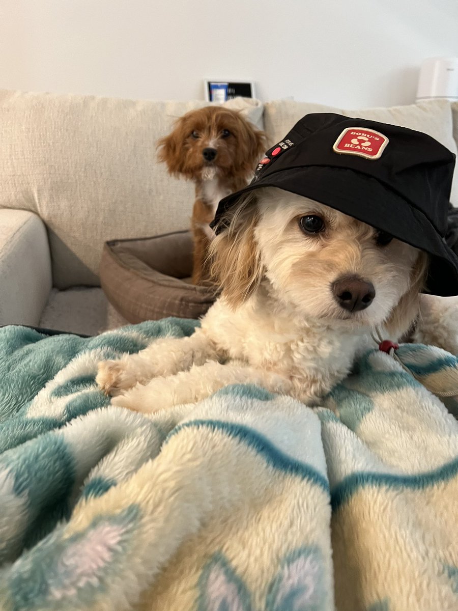 Flexium.eth ⛩ tweet media