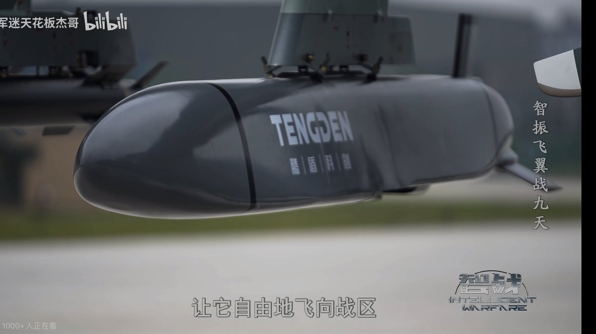 Tengden TB-001 drone with an interesting payload - said to be a child drone of TB-001 that could obtain varies missions in contested airspace with a much higher survivability compare to its parent (TB-001)

I thought it’s a Storm-Shadow alike cruise missile at first