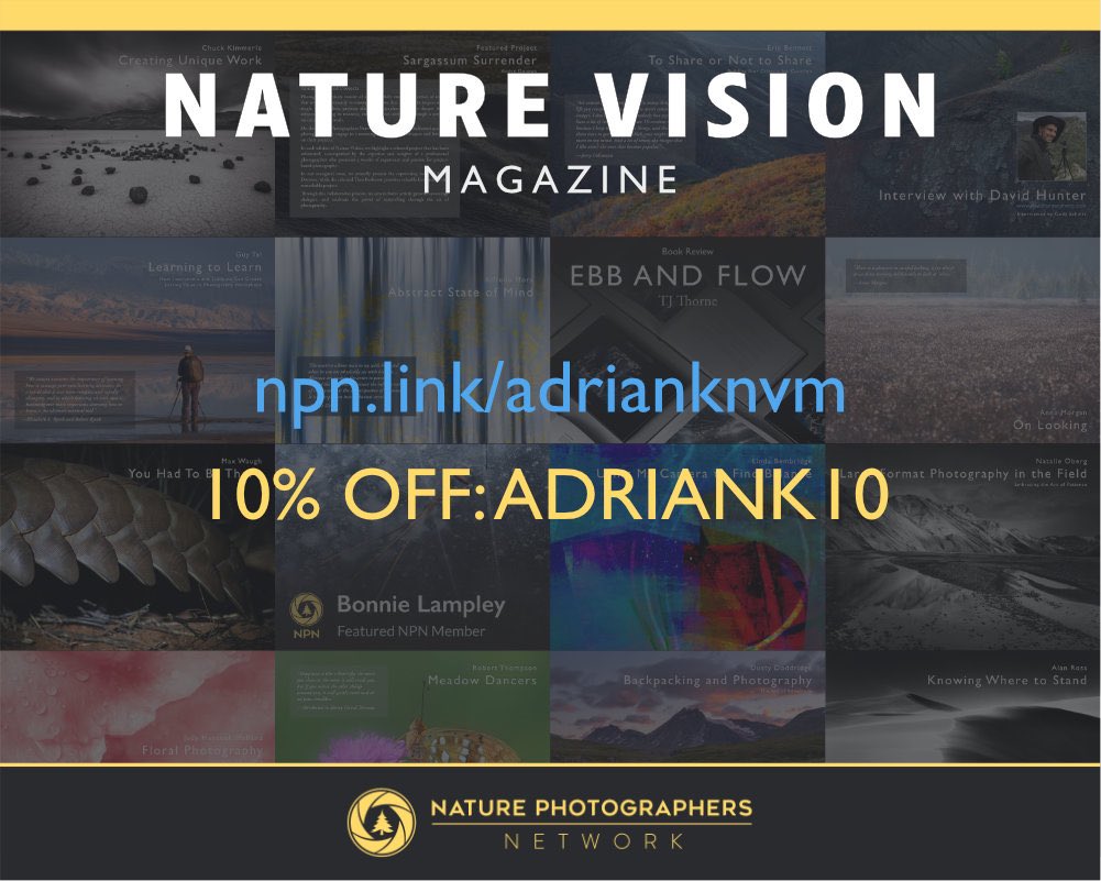 AdrianKlein tweet media