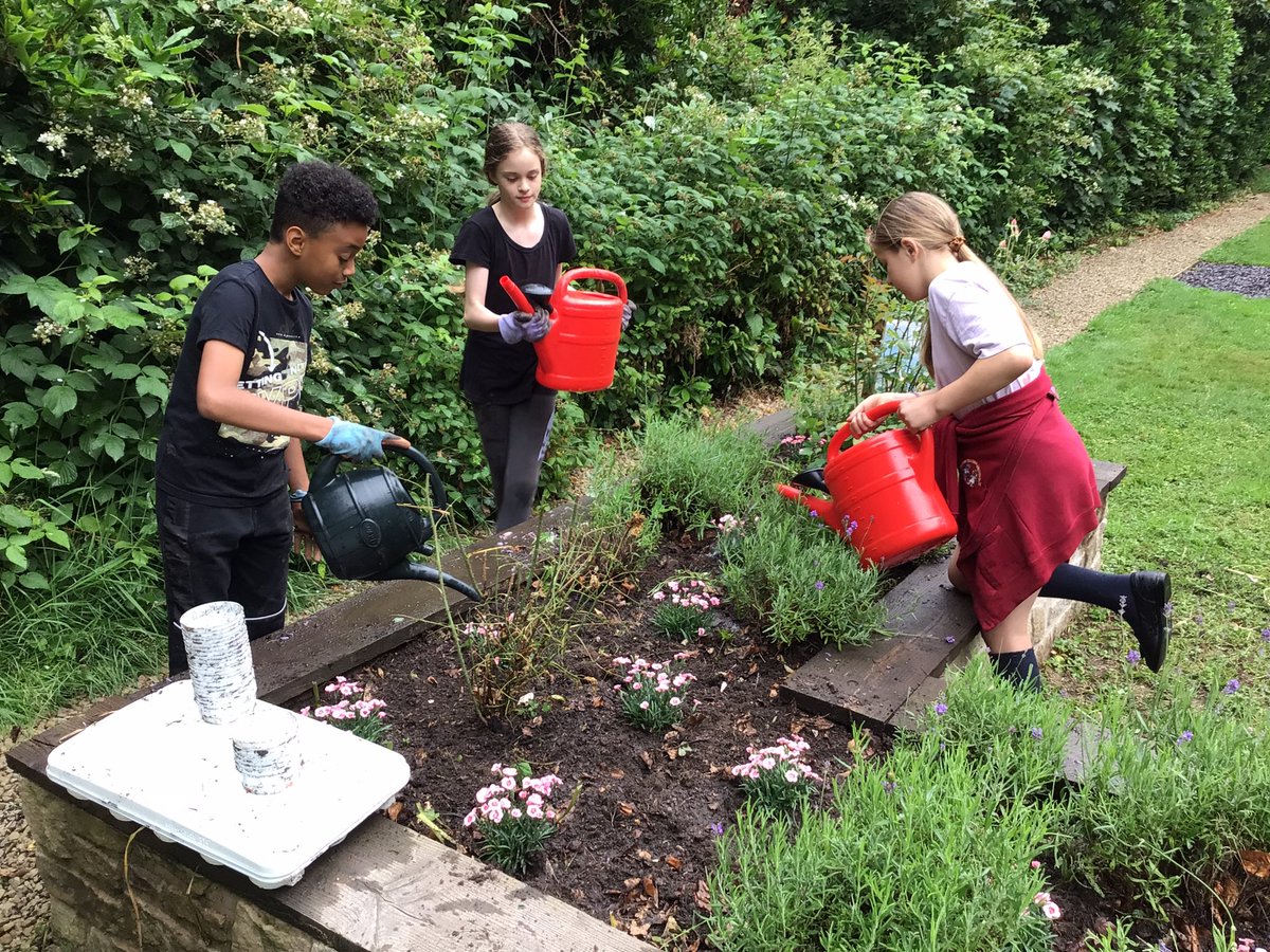 MrCStJames's tweet photo. We managed to plant and tidy the English side of the #MylesStandish garden in @GolfDuxbury today @StJamesYear6 #gardeningclun @mayflower400uk @StJamesChorley https://t.co/vDM3eVau4i