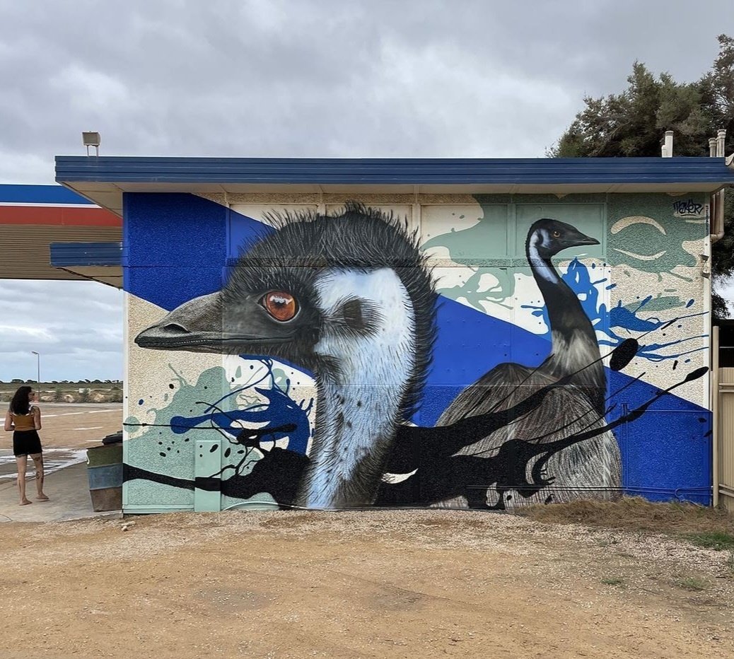 MolinaStreetArt's tweet photo. Art by Hungarian TakerOne in Mundrabilla, Australia (2023) #takerone #mundrabilla #streetart #lamolinastreetart π· via artist https://t.co/kt5WGKERMZ https://t.co/kgTe3oHoEW