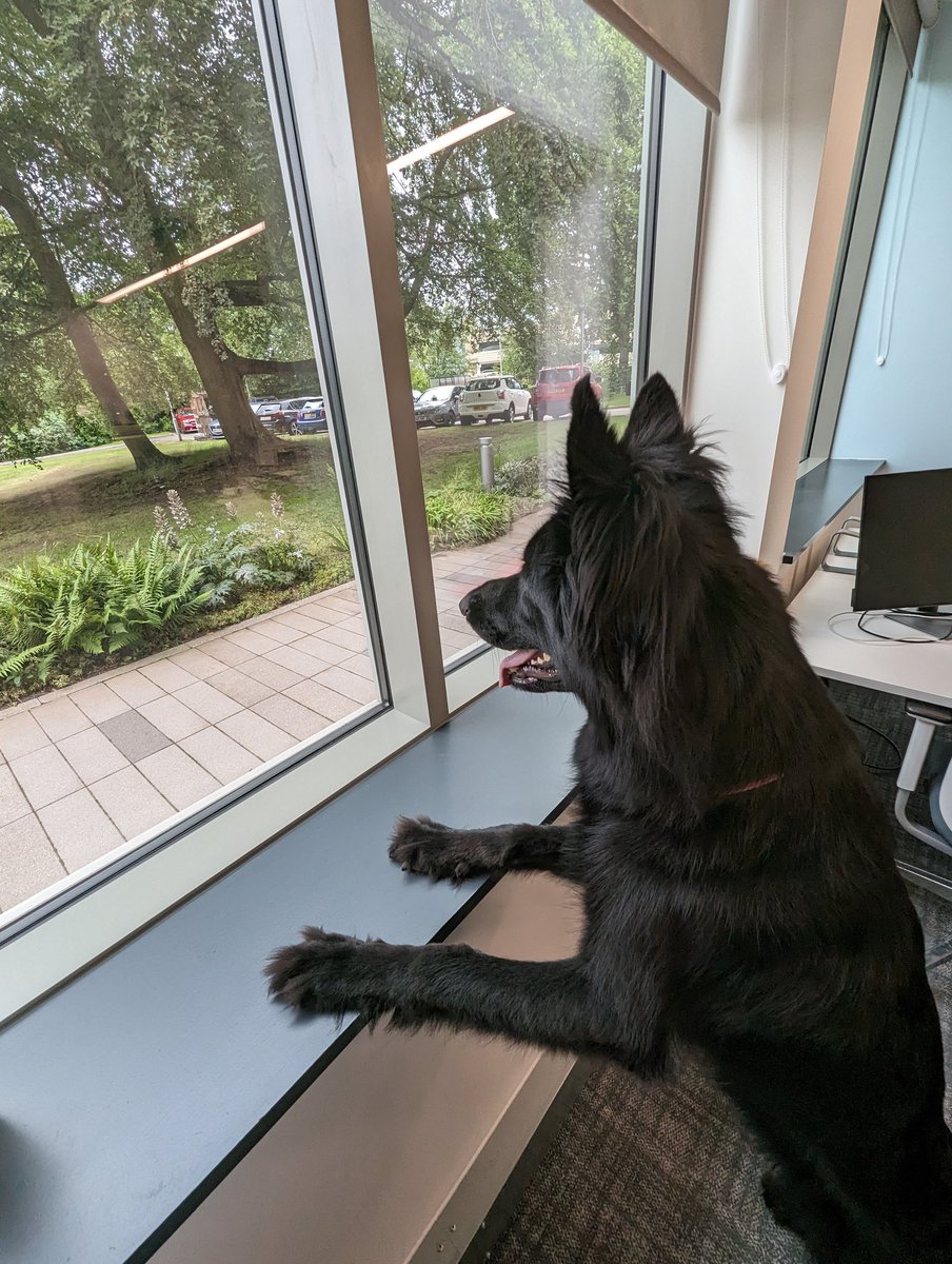 Rose Sisk tweet media