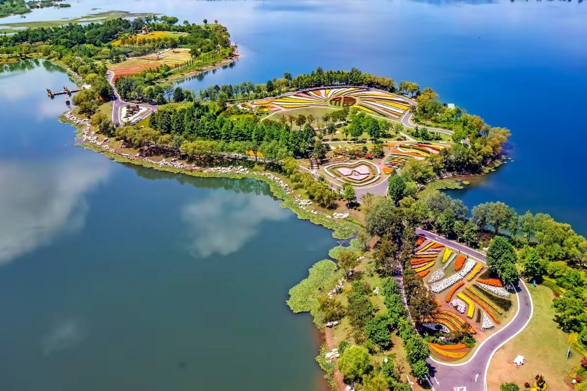 Descubre_China's tweet photo. 📍 Donghai, China 🇨🇳 🌺
¡Más de 500.000 lirios en floración! 🌺 Este bello paisaje es del Parque Nacional de Humedales en el condado de Donghai, provincia de Jiangsu.
#China #Asia #Humedal #Donghai #Flor #Lirios https://t.co/al0a5d172g