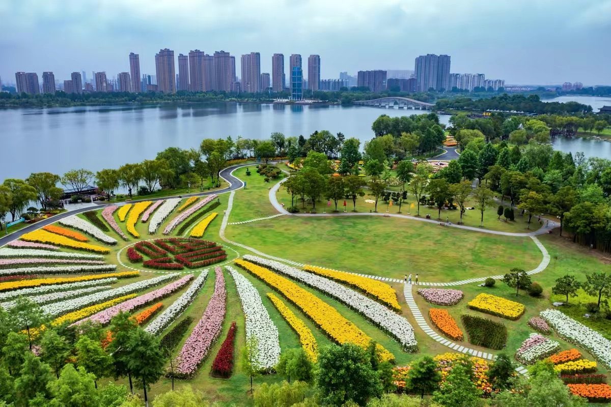Descubre_China's tweet photo. 📍 Donghai, China 🇨🇳 🌺
¡Más de 500.000 lirios en floración! 🌺 Este bello paisaje es del Parque Nacional de Humedales en el condado de Donghai, provincia de Jiangsu.
#China #Asia #Humedal #Donghai #Flor #Lirios https://t.co/al0a5d172g