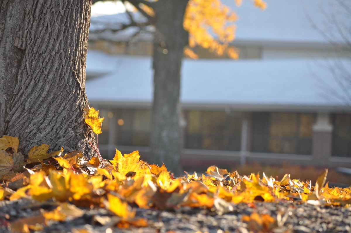 MizArmstrong's tweet photo. Was out visiting all the schools today - feeling a lot of gratitude for the communities we serve, the green goodness of summer, the gorgeous colors of fall, & the joy of the first snowfall. All three pics captured from the District Office vantage point. #comingbackhome #schoolpr https://t.co/3TJg9FSXp6