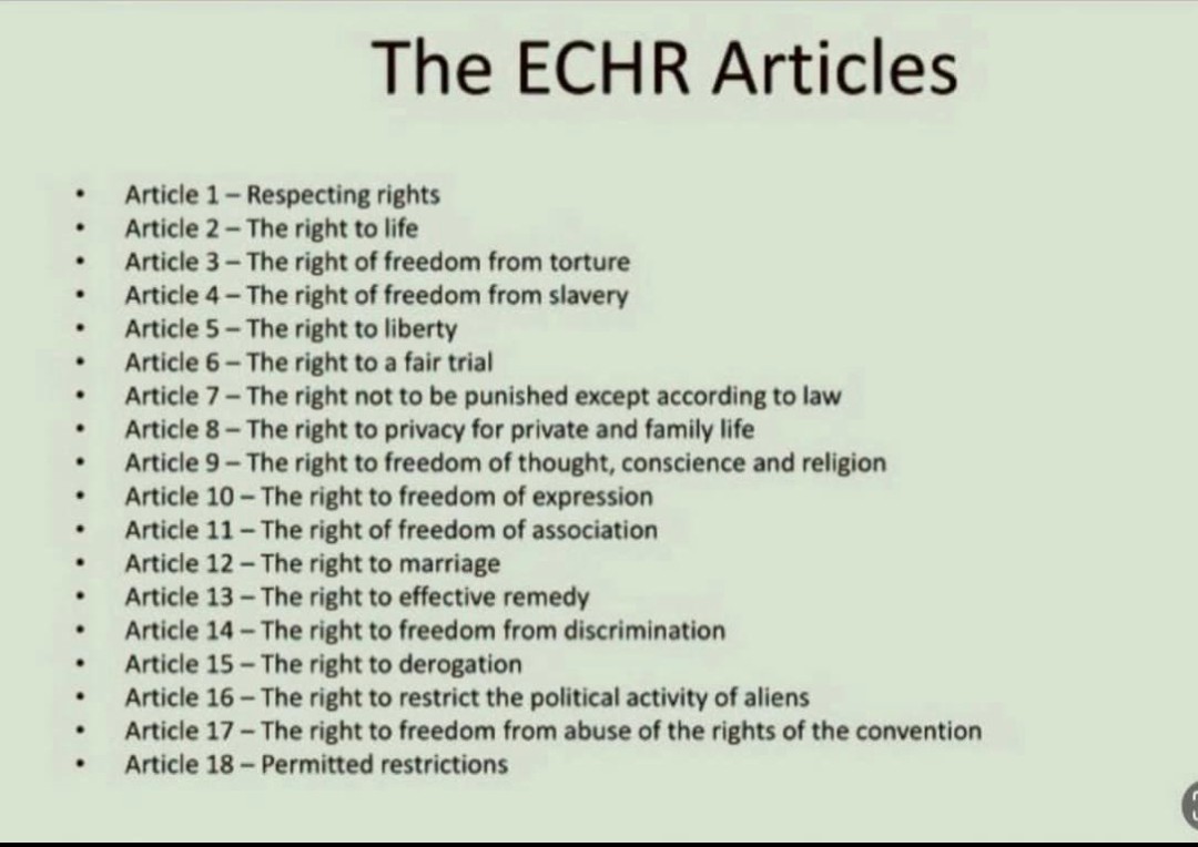 @sophielouisecc Advocated by Churchill, the ECHR is both British & Conservative in origin & was developed in response to the atrocities committed by the Nazis. Now tell me which of my rights you wish to curtail? Explain yourself 
#ECHR #GTTO #ToriesOut356 #enoughisenough