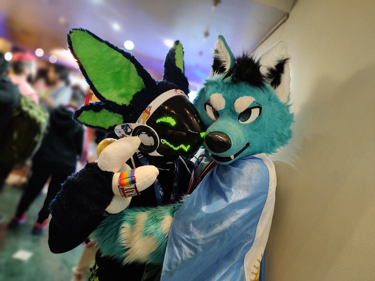 StarflyTheWolf's tweet photo. This Protogen is champion of the world 💙🤍🇦🇷🏆

Ft: @AlexArkoss https://t.co/bJgpaVx7Es