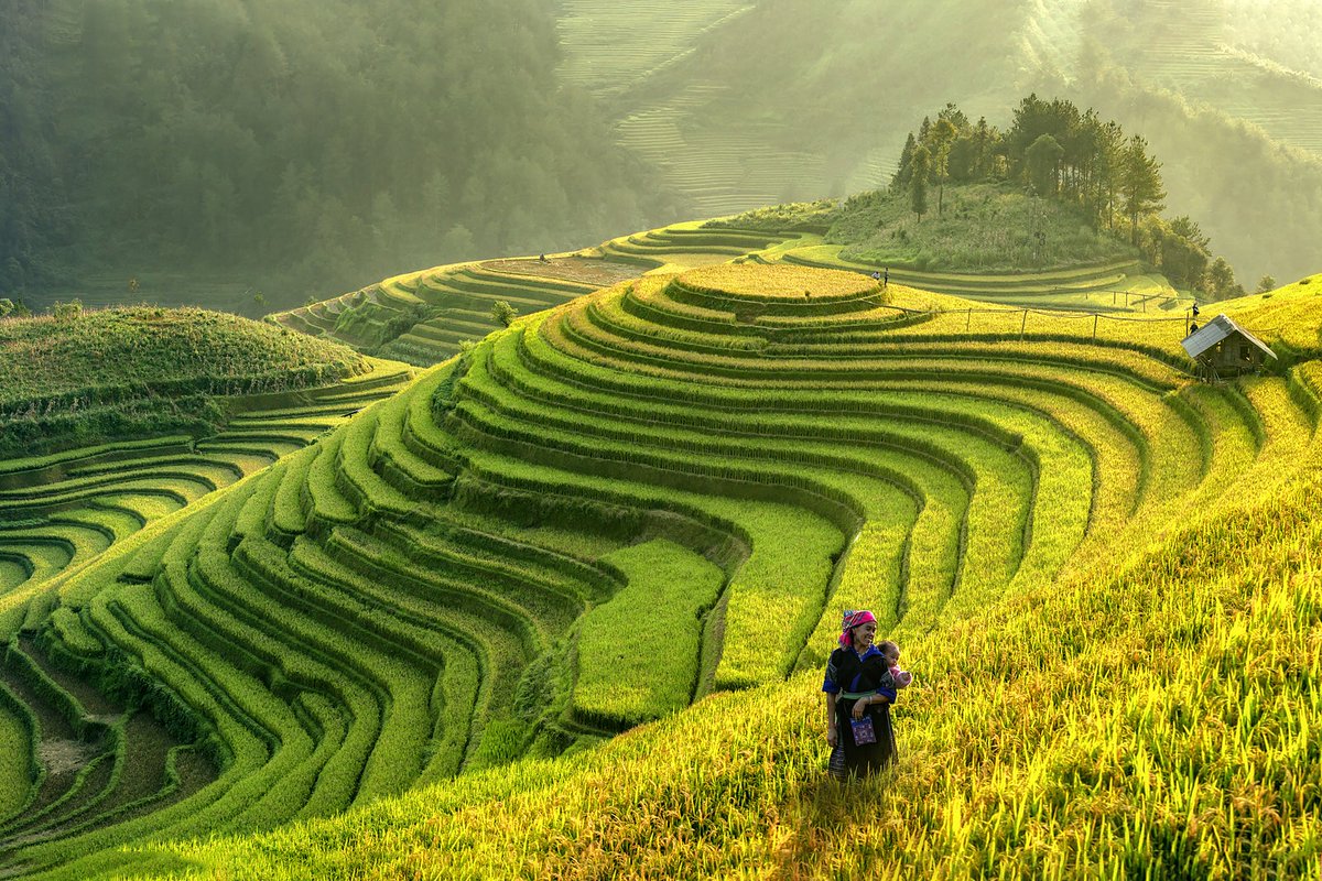 tweetsvanpalm's tweet photo. Tijd voor een nieuw avontuur. 13 december tot 11 januari backpacken in Vietnam. #winterstopreisje #backpacken https://t.co/XuwEtpFaK7