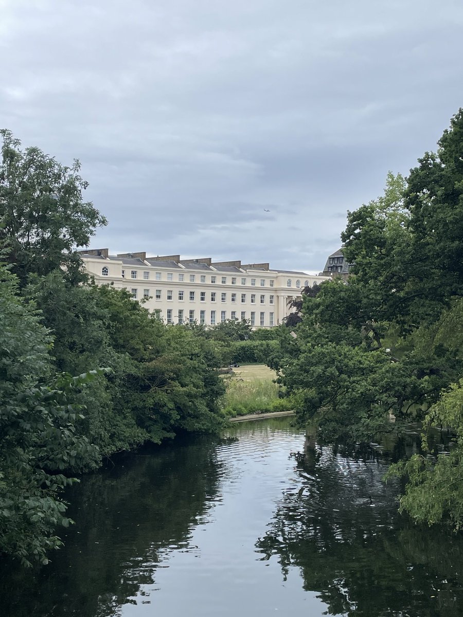 Kate Cook tweet media