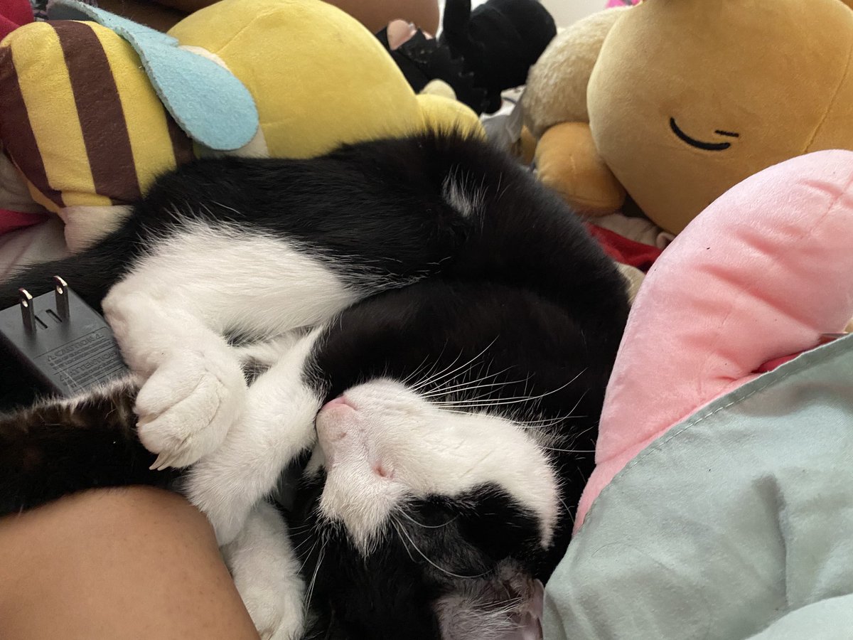 blursluts44's tweet photo. this nap shit serious https://t.co/Y9xLs7wqx7