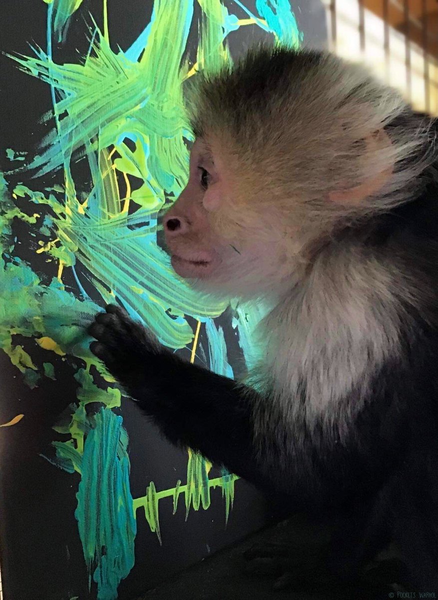 It's still magic even if I know how it's done🎨🐒#bekindtoanimals #AfterLife #storybookmonkeys
