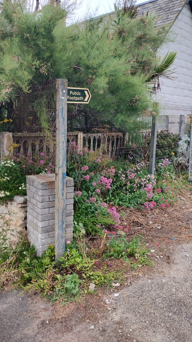 Save Whipsiderry Cliffs tweet media