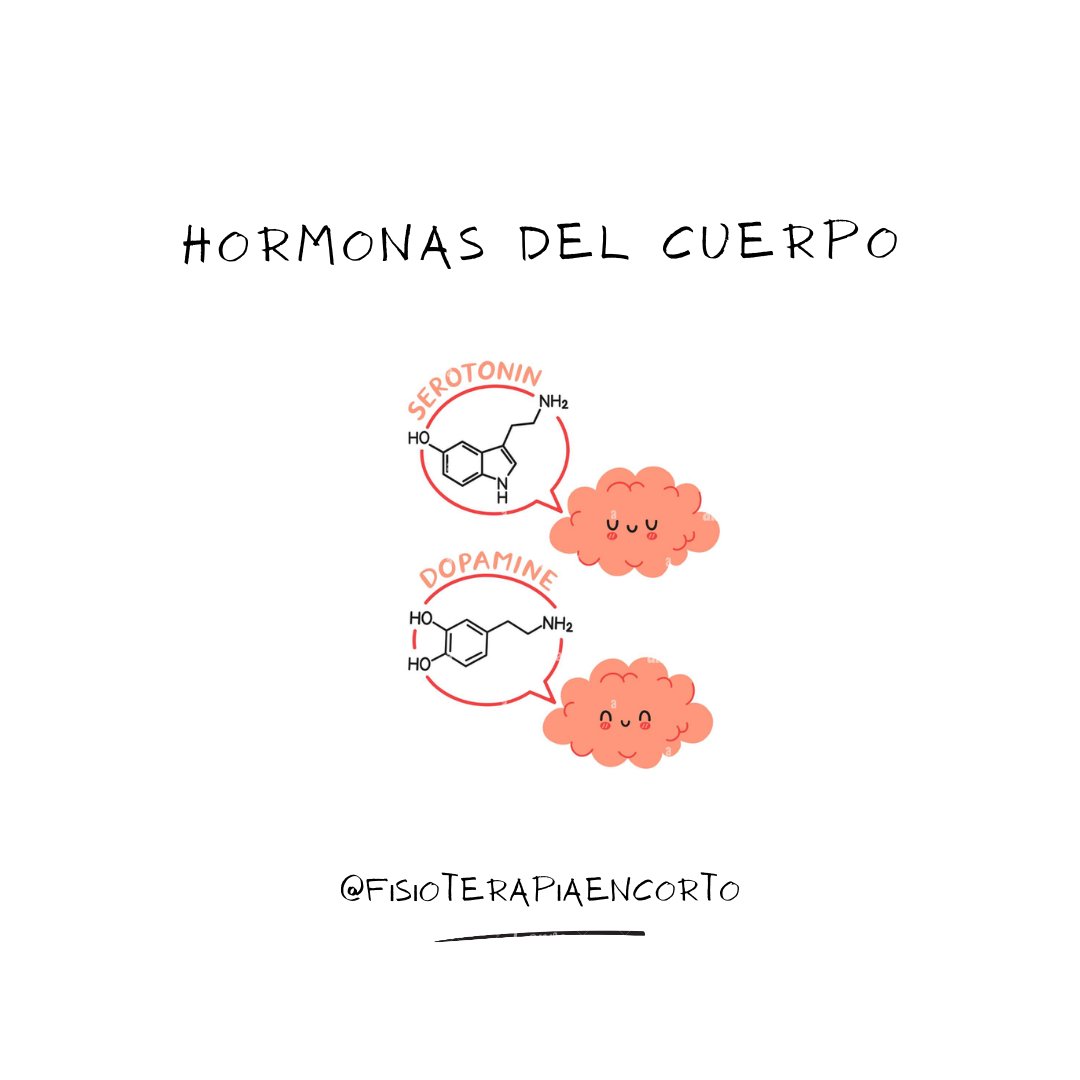 fisio_encorto's tweet photo. Como sabemos las hormonas son los mensajeros químicos del cuerpo. Son aquellos que viajan a través del torrente sanguíneo hacia los tejidos y órganos. Surten su efecto lentamente y, con el tiempo, afectan muchos procesos distintos, incluyendo: Crecimiento y desarrollo https://t.co/LNXqIUmres