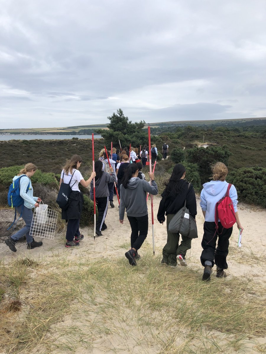 StSwithunsBio's tweet photo. L6 biologists getting to grips with psammosere succession at Studland bay! #itswhoweare #stswithunsbiology #studlandbay #leesonhouse https://t.co/D1Untkh5Js
