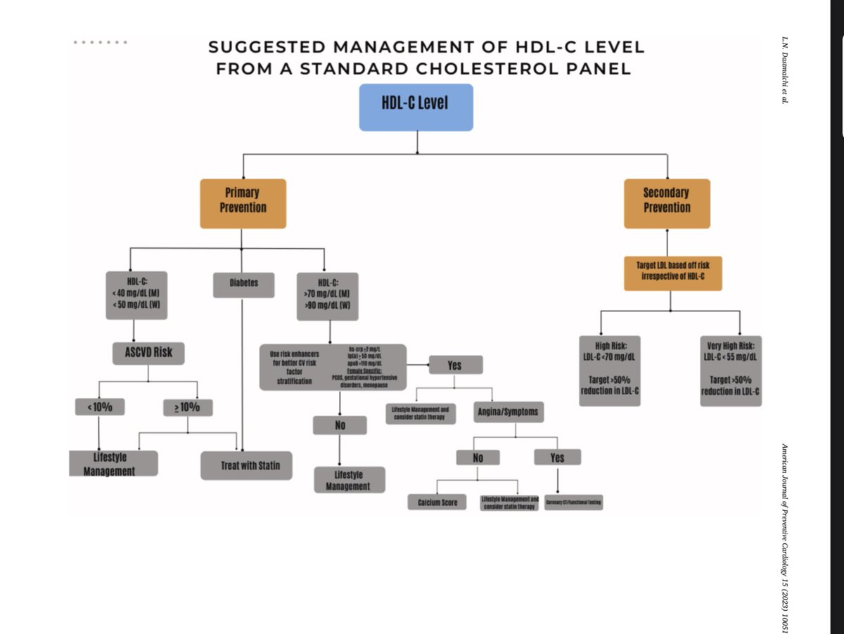 Elevated HDL-C? 

In our paper published @AJPCardio @ASPCardio @PamTaubMD @DrGermanMD we highlight how to manage elevated HDL in primary #cvprev and conditions with the pathophys that cause dysfunctional HDL

#WomensHealth #lipids #PCOS #cardioOB #MedTwitter #CardioTwitter