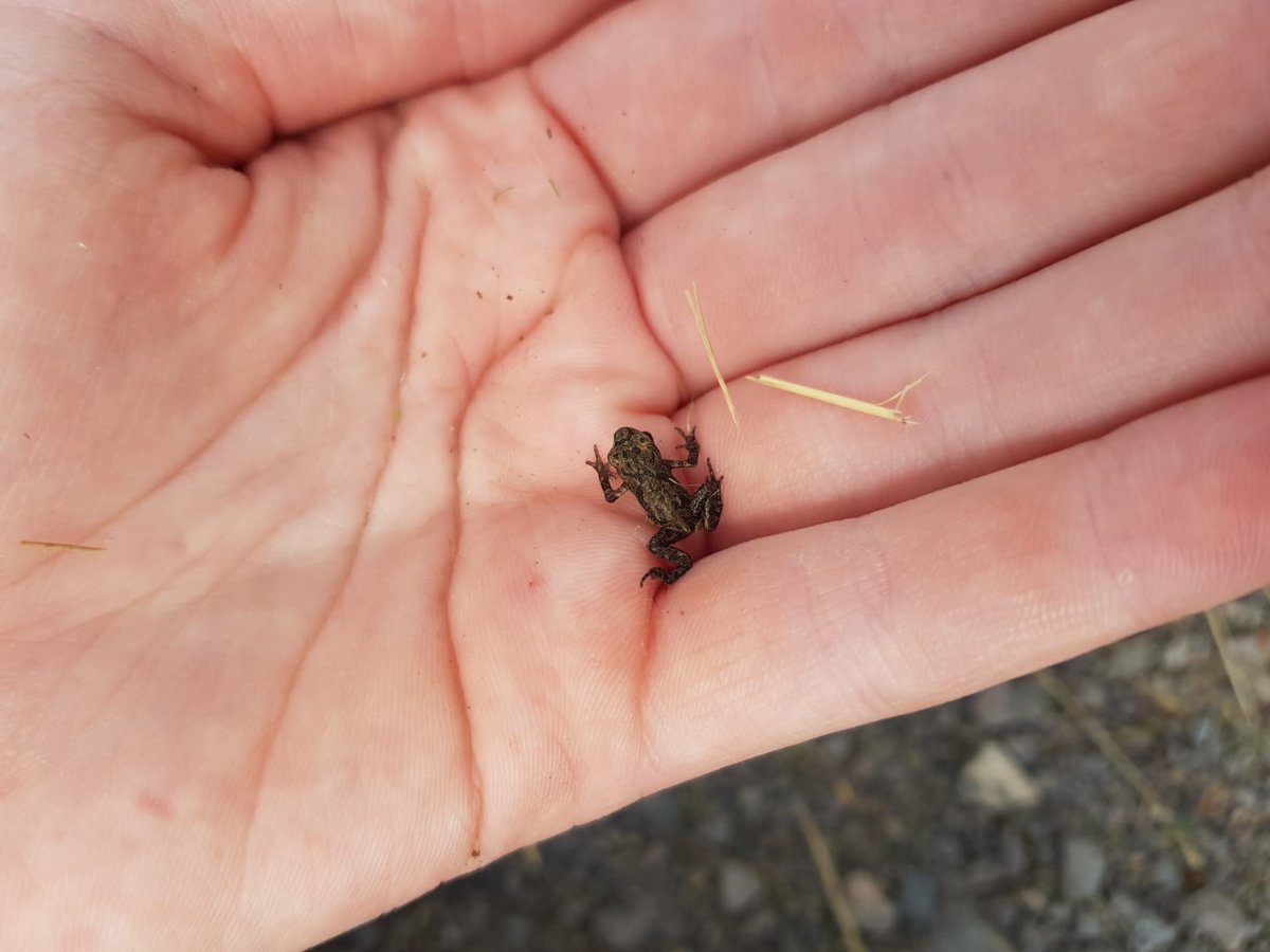 Stormont House tweet media