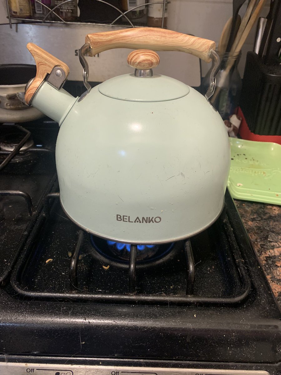 DwinaBundle's tweet photo. @thewombats Day 11/? I was told this thread is losing steam so I put a kettle on to help out. @thewombats points for the pun?? https://t.co/WtAWERehxz